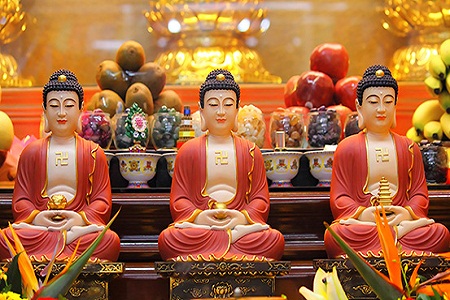 Lời Phật dạy: Tam bảo – Ruộng phước lành ở thế gian