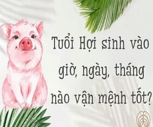 Tuổi Hợi sinh vào tháng nào thì tốt