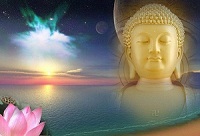 Lời Phật dạy - Tướng mạo của người trí