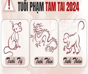 con giáp phạm tam tai năm 2024