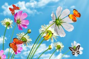 Tử vi ngày 13/6/2023 của 12 con giáp