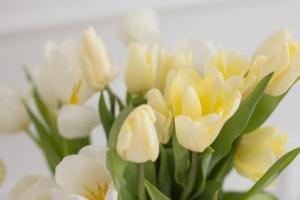 Tử vi ngày 15/5/2023 của 12 con giáp