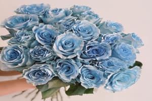 Tử vi ngày 15/7/2023 của 12 con giáp