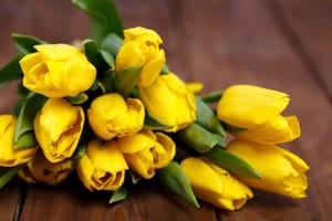 Tử vi ngày 29/9/2023 của 12 con giáp