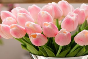 Tử vi ngày 9/8/2023 của 12 con giáp