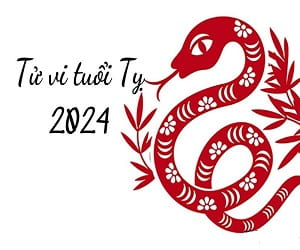 Tử vi tuổi Tỵ năm 2024