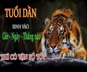 Tuổi Dần sinh giờ ngày tháng năm nào có vận số tốt