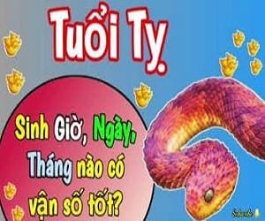 Tuổi Tị sinh tháng nào có vận số tốt