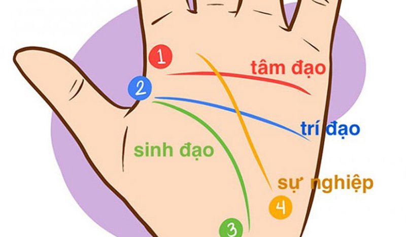 Xem bói chỉ tay: Có phải đường sinh đạo ngắn thì yểu mênh?