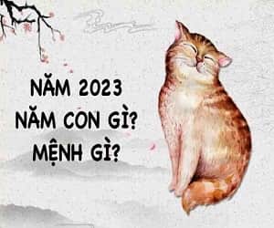 Năm 2023 là năm con gì