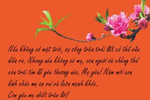 Những câu chúc tết hay nhất gửi tới ba mẹ