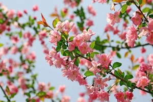 Tử vi ngày 20/1/2023 của 12 con giáp