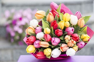 Tử vi ngày 20/8/2023 của 12 con giáp