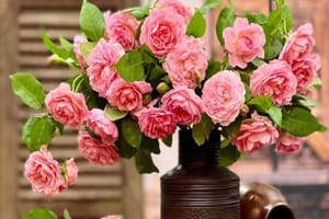 Tử vi ngày 7/12/2022 của 12 cung hoàng đạo