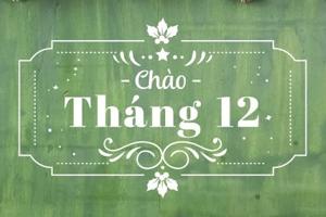 Tử vi tháng 12/2022 của 12 con giáp