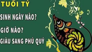 Tuổi Tý sinh vào giờ, ngày, tháng nào thì có vận số tốt?