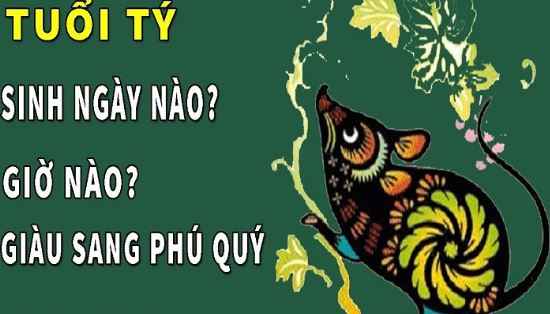 Tuổi Tý sinh vào giờ, ngày, tháng nào thì có vận số tốt?