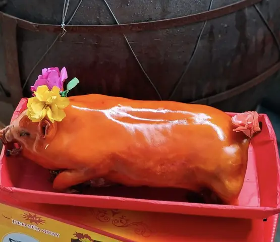 Heo Quay Sữa Cúng