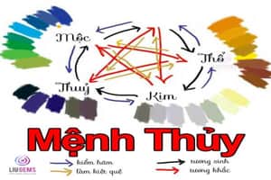 Mệnh Thủy hợp màu gì