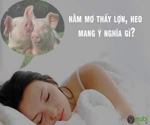 Mơ thấy lợn đánh con gì